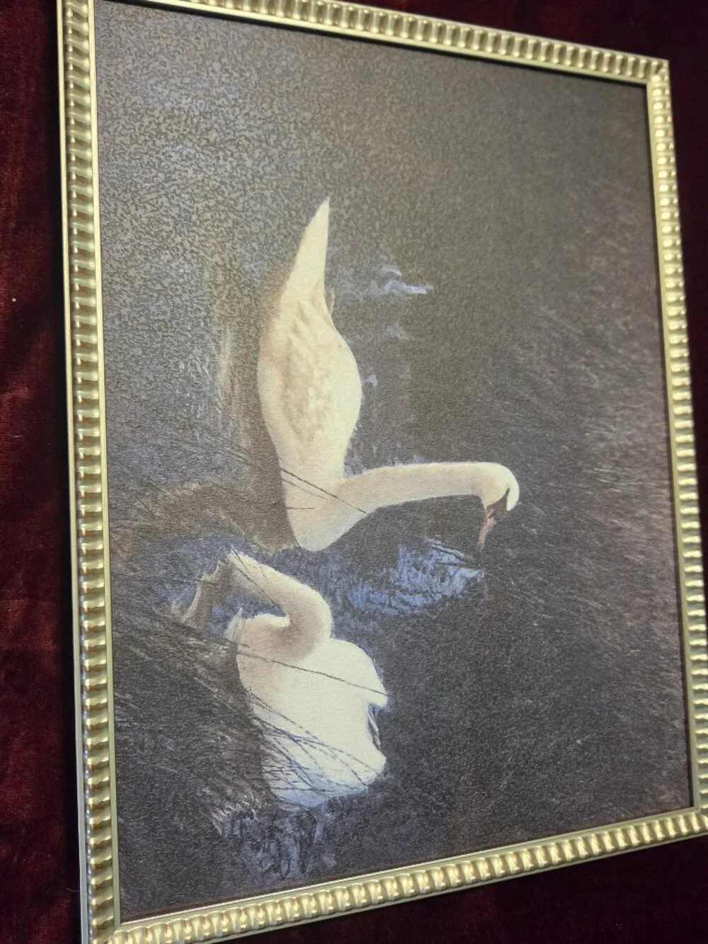 two swans in metallic frame two swans at night no glass in frame
